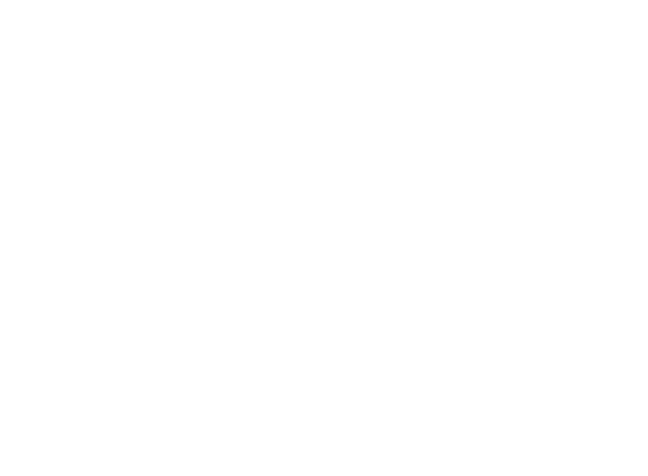 Partido Galego (PG)